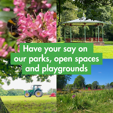 Open Spaces survey image