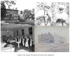 Archives Research Guides - Hospital and Health