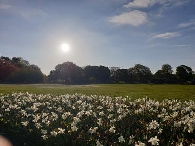 Haresfinch park field