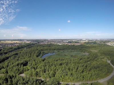 Colliers Moss Common Aerial view of a forest and lagoon at Colliers Moss Common in St Helens