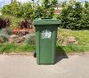 green bin photo
