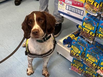 Trading Standards Tobacco Operation