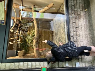 Families enjoying a daytrip to Blackpool Zoo